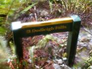 Previous image